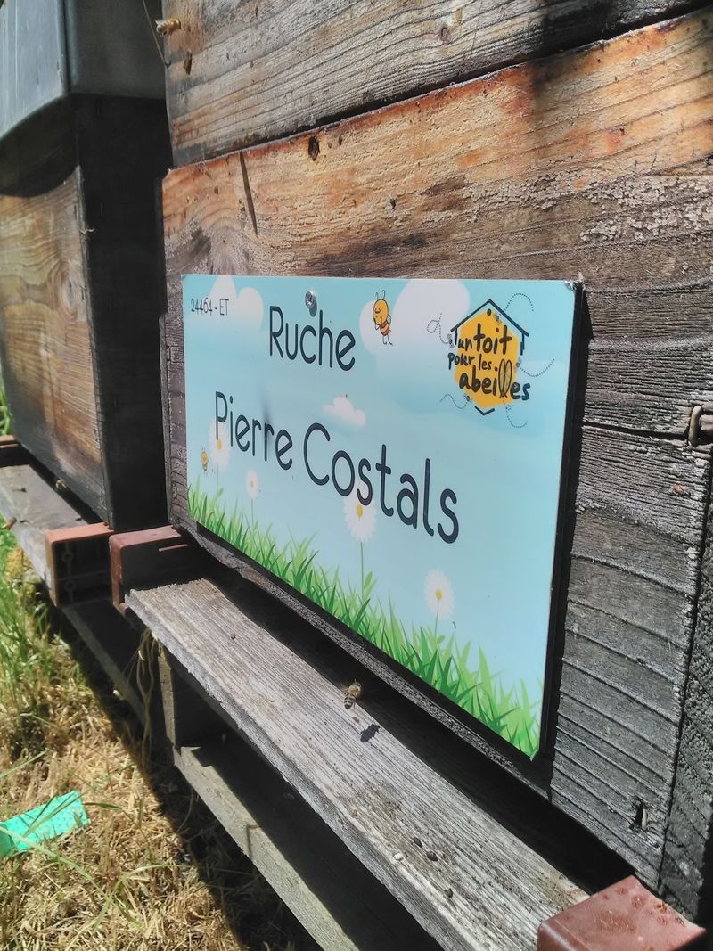 La ruche Pierre Costals