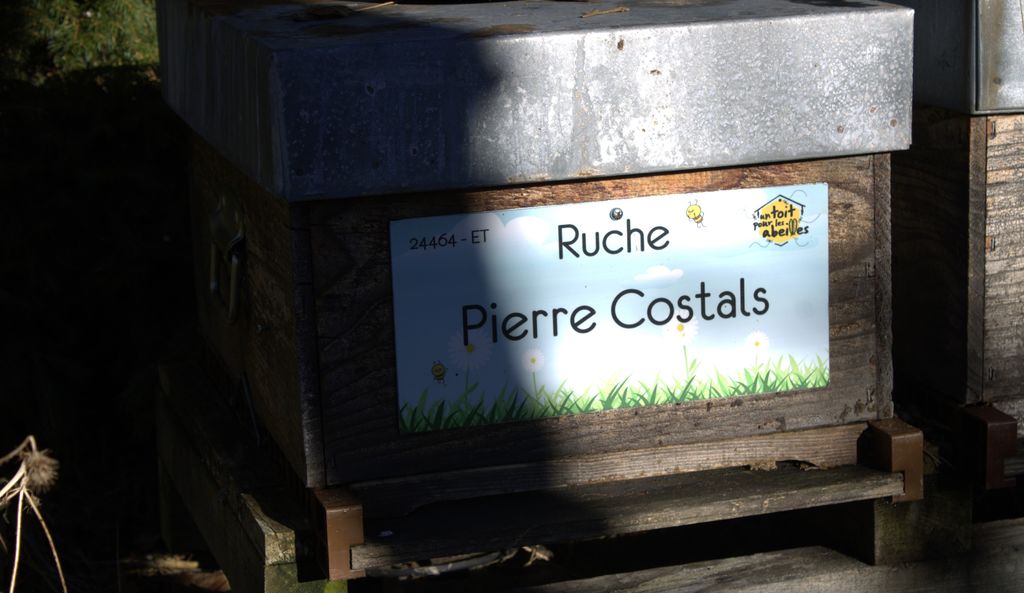 La ruche Pierre Costals