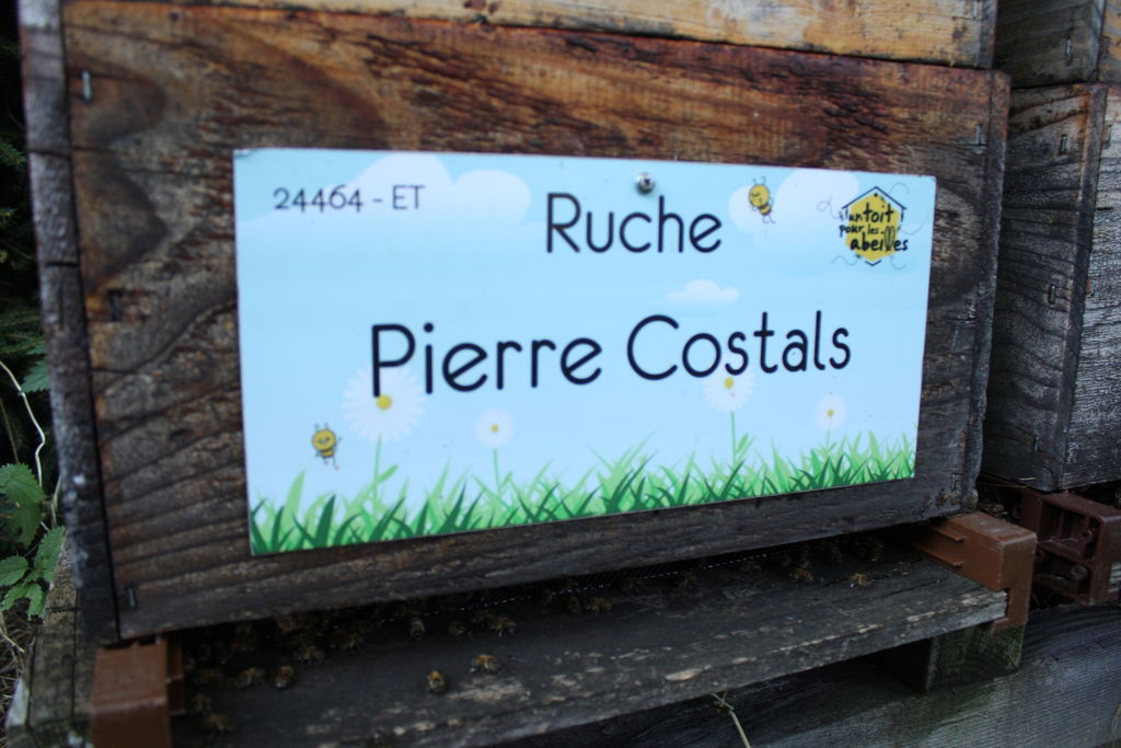 La ruche Pierre Costals