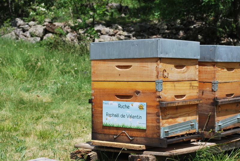 La ruche Raphaël de Valentin 
