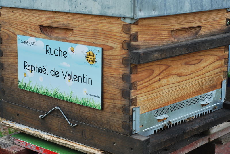 La ruche Raphaël de Valentin 