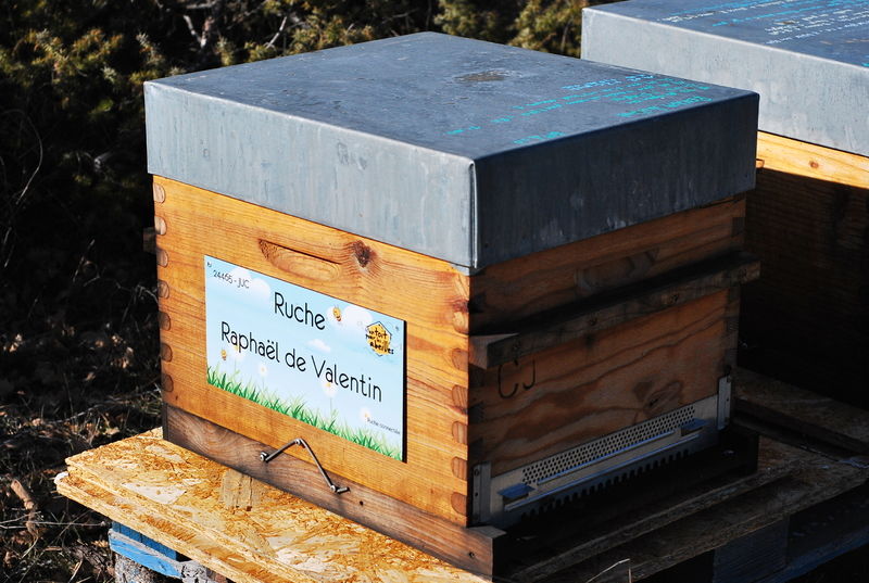 La ruche Raphaël de Valentin 