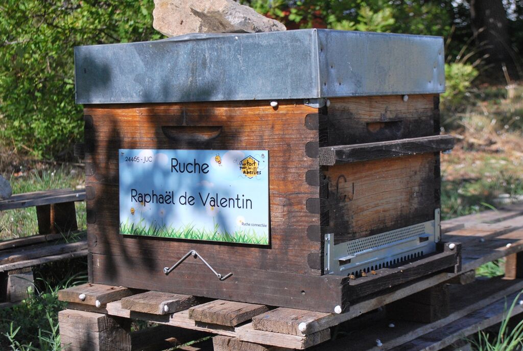 La ruche Raphaël de Valentin 
