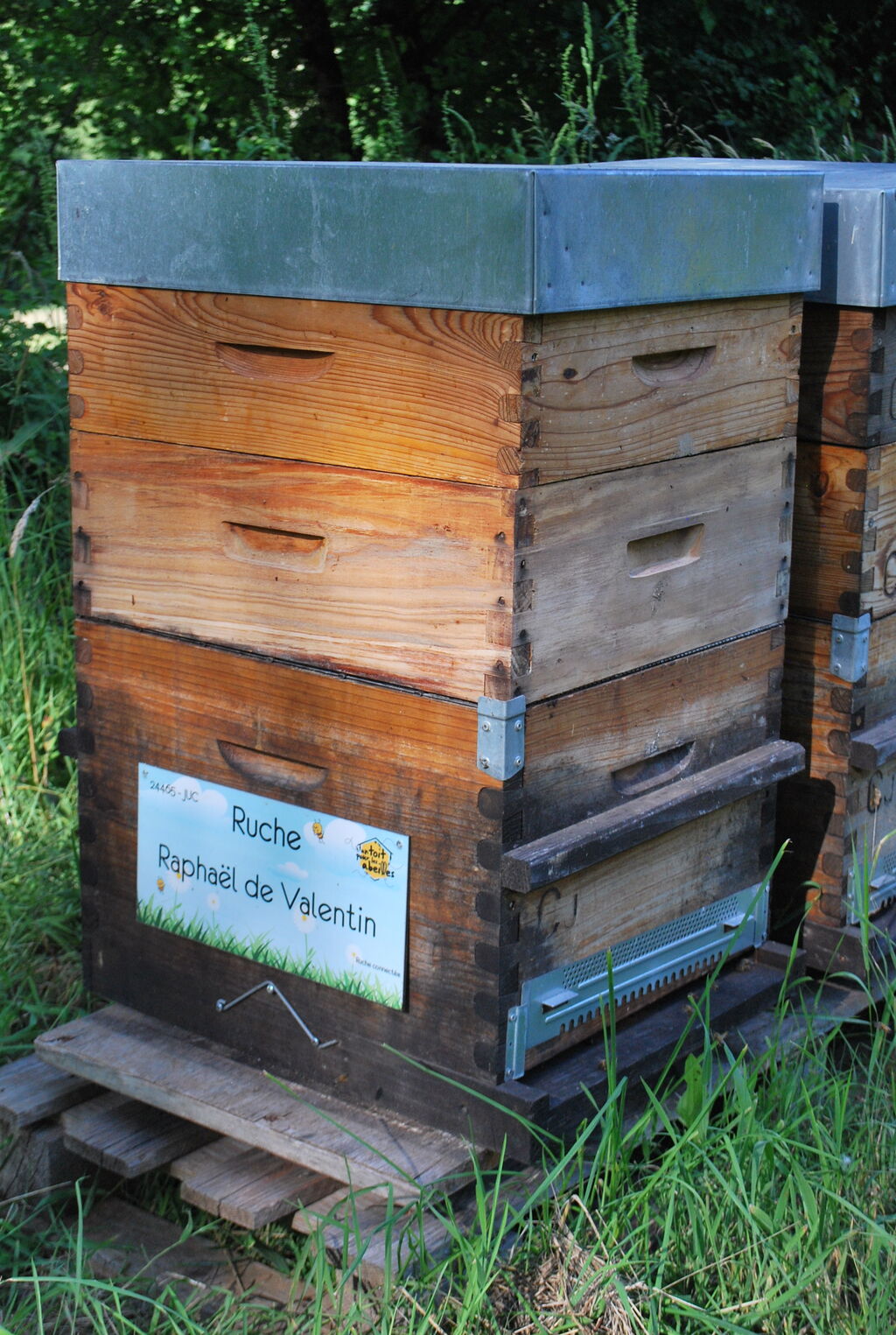 La ruche Raphaël de Valentin 