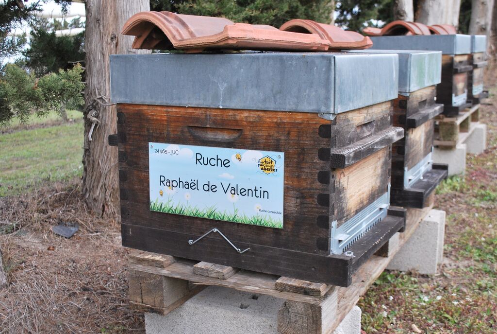 La ruche Raphaël de Valentin 