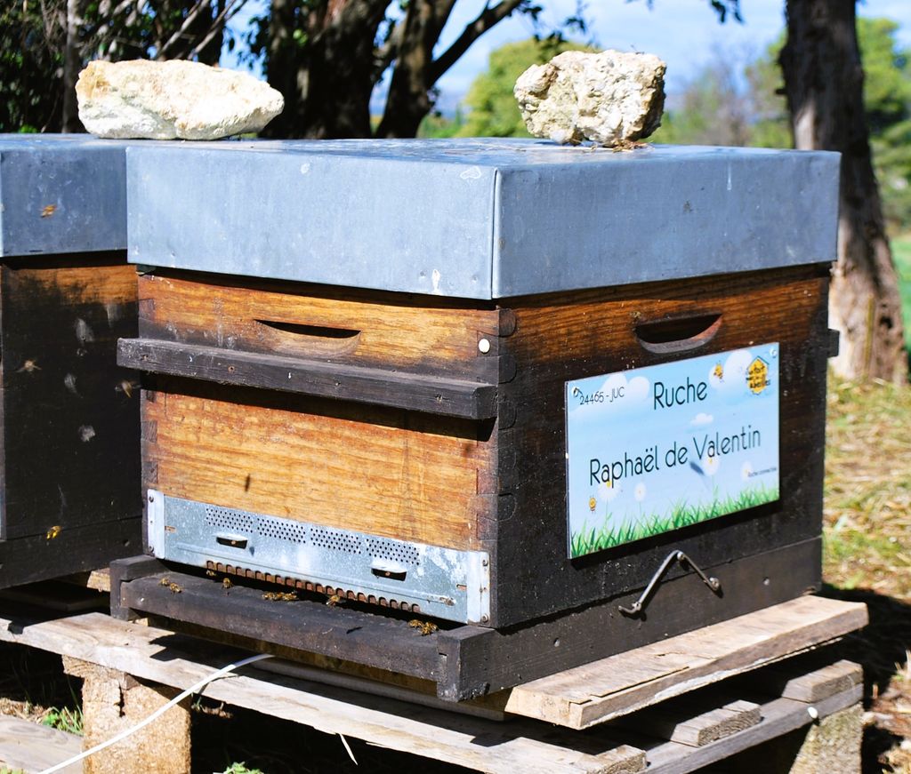 La ruche Raphaël de Valentin 
