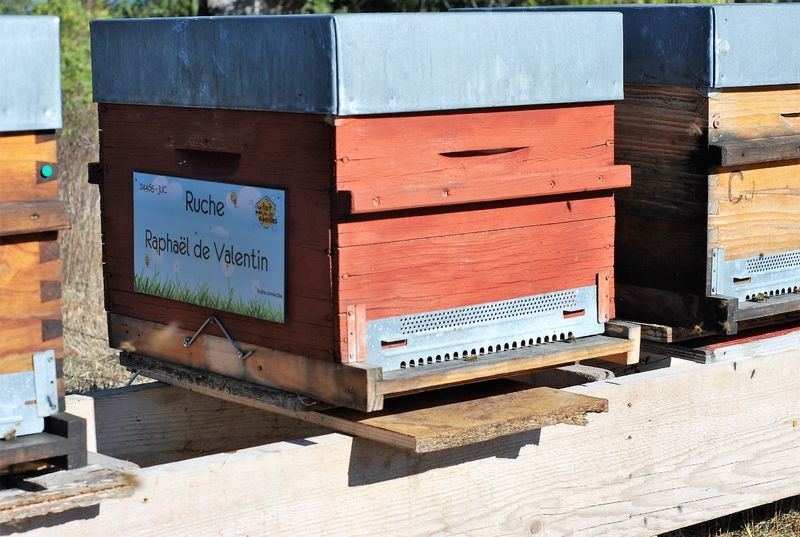 La ruche Raphaël de Valentin 