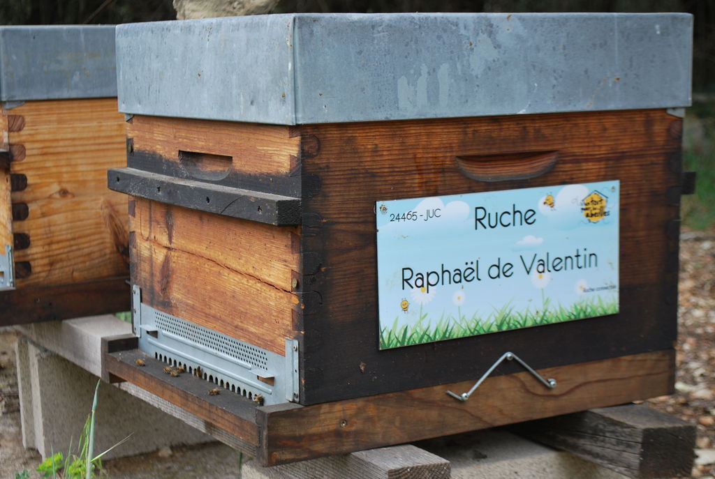 La ruche