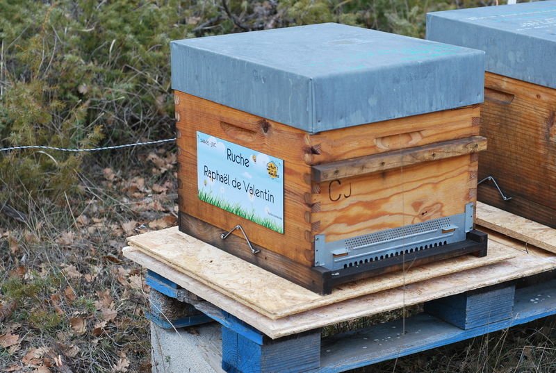 La ruche Raphaël de Valentin 