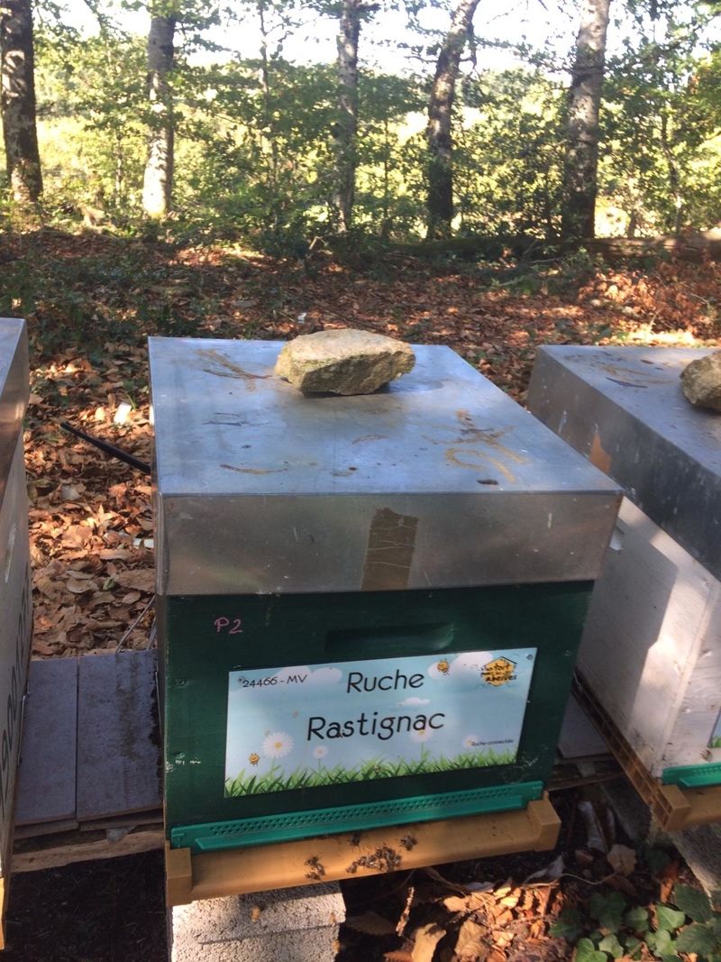 La ruche Rastignac 