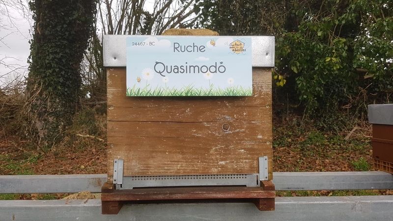 La ruche