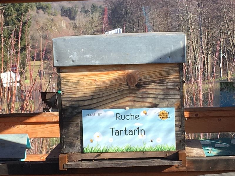 La ruche Tartarin 