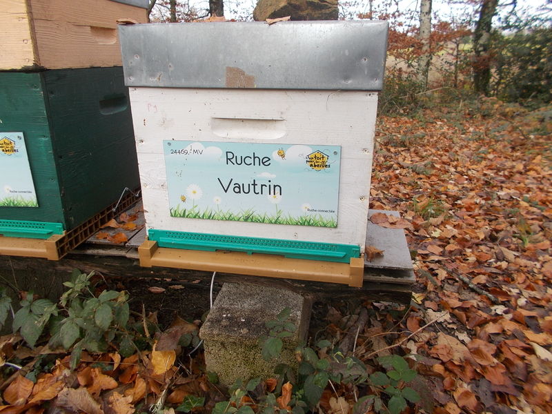 La ruche Vautrin