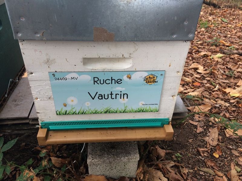 La ruche Vautrin