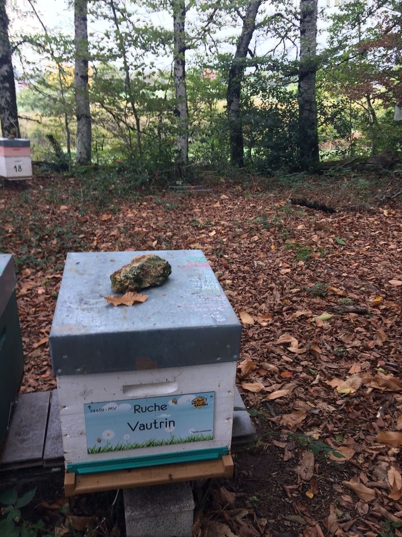 La ruche Vautrin