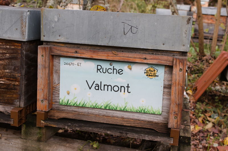 La ruche Valmont