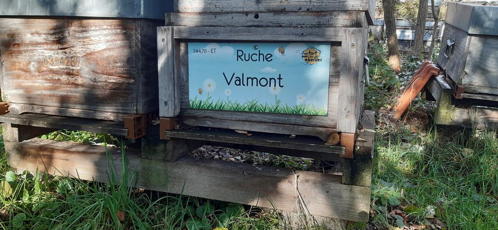 La ruche Valmont
