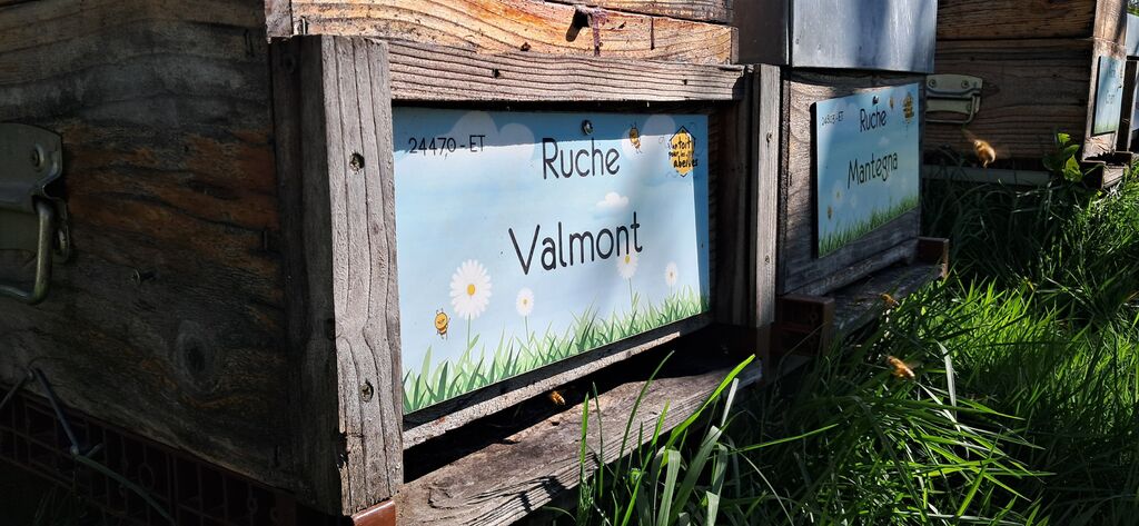 La ruche Valmont