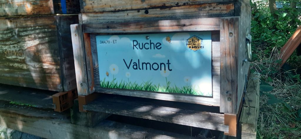 La ruche Valmont
