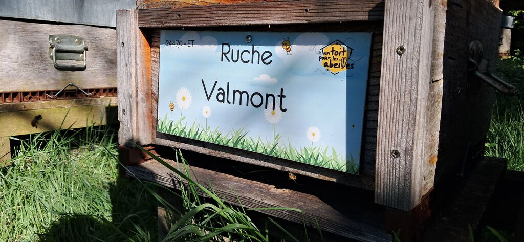 La ruche Valmont