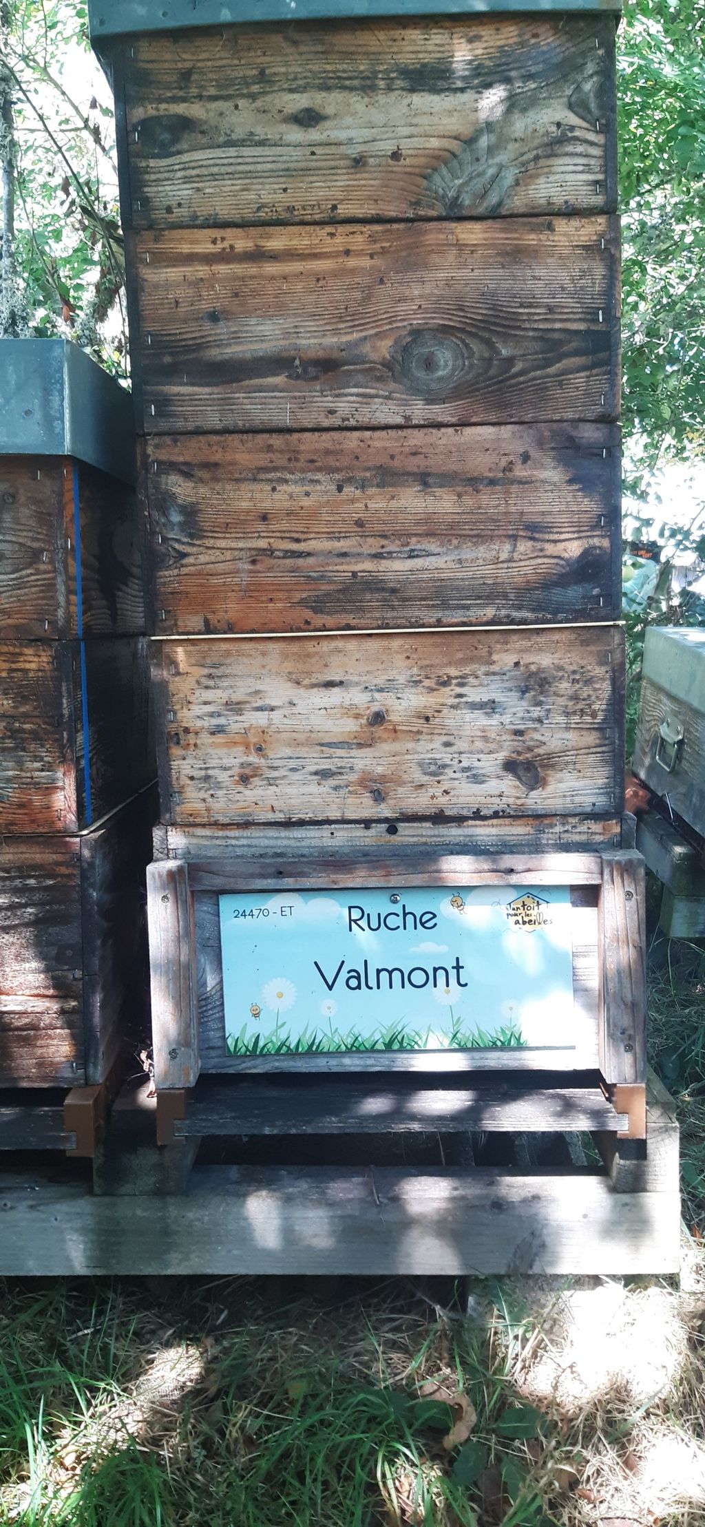 La ruche Valmont