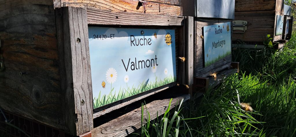 La ruche Valmont