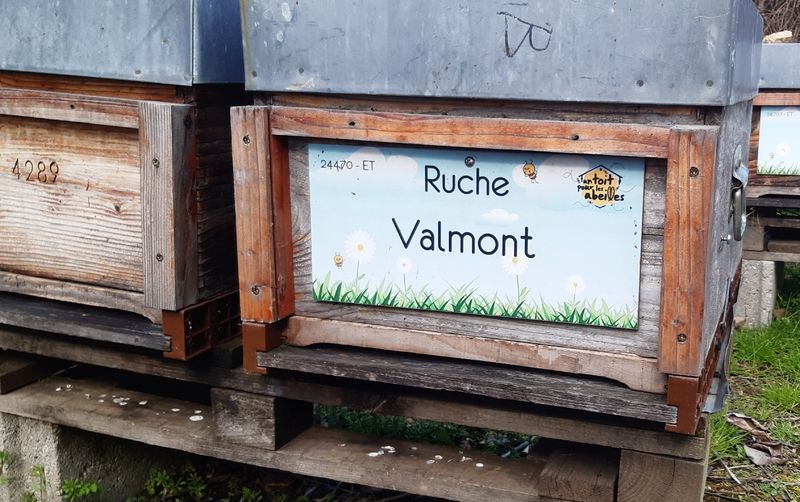 La ruche Valmont