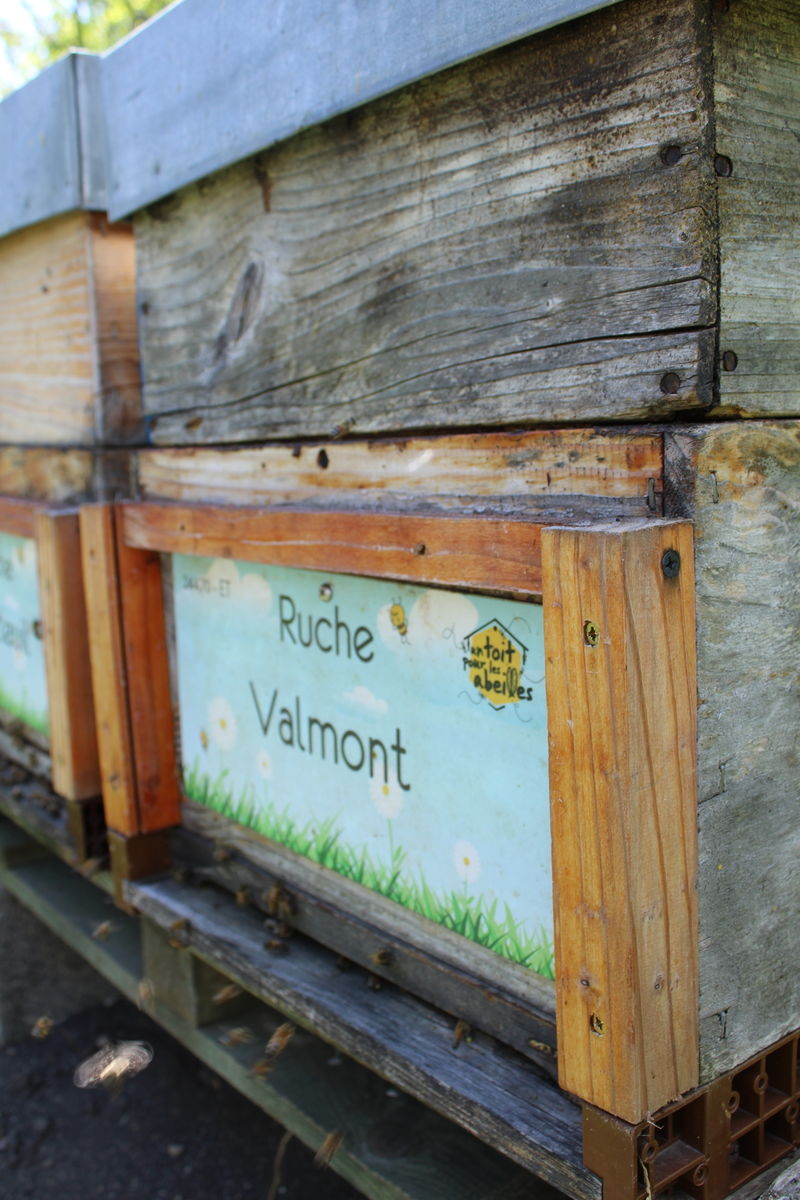 La ruche Valmont