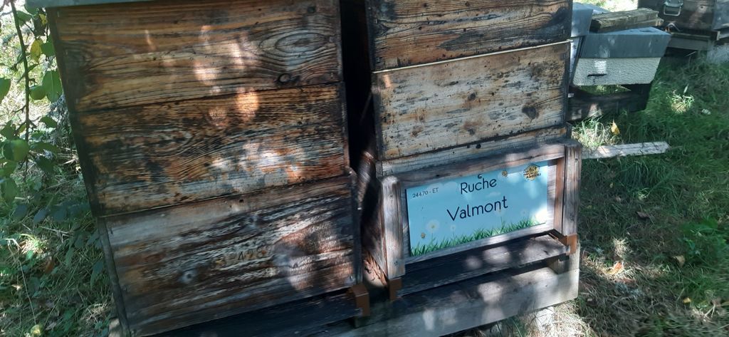 La ruche Valmont