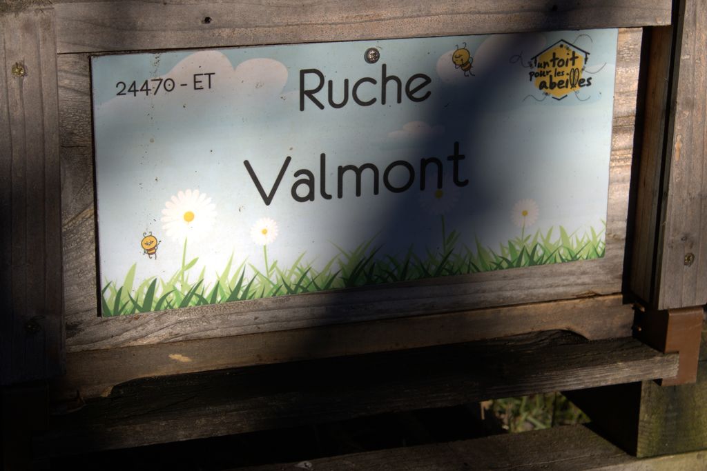 La ruche Valmont