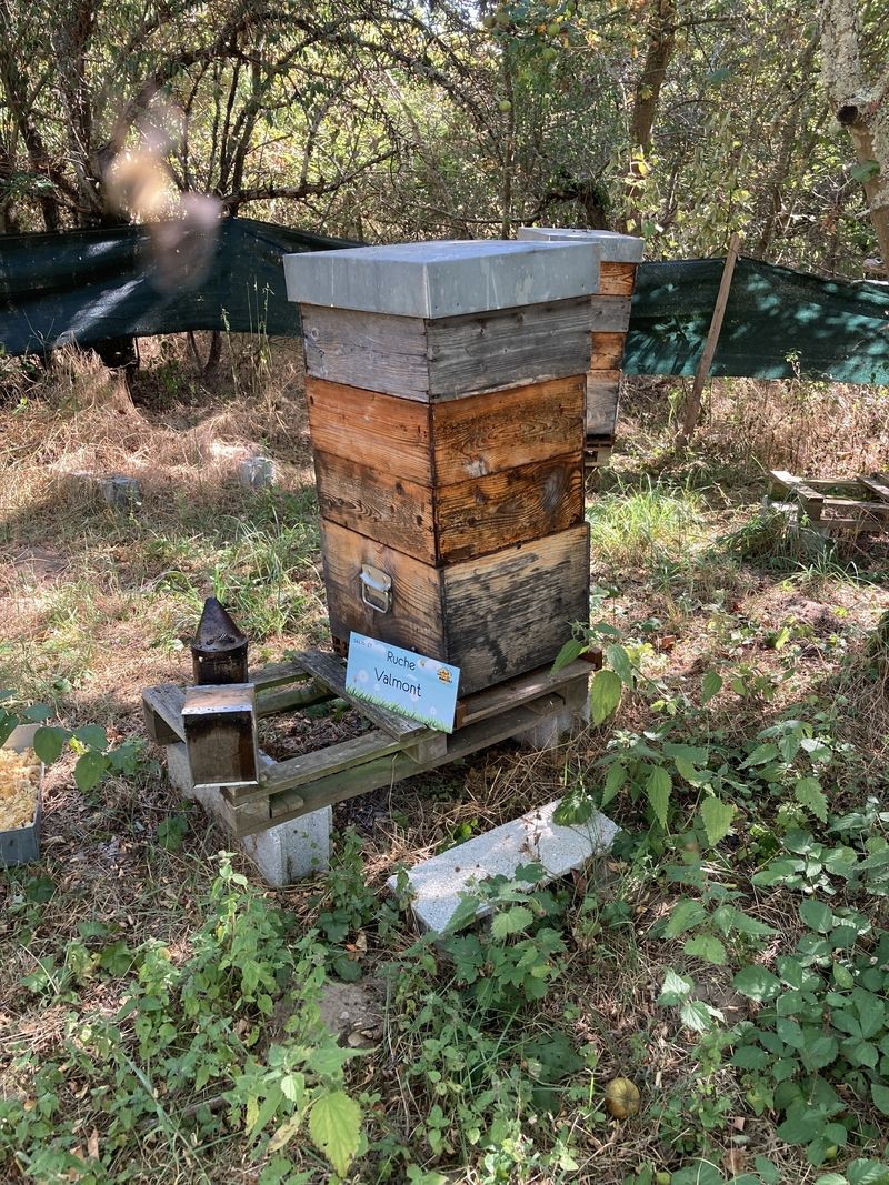 La ruche Valmont