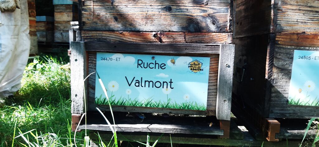 La ruche Valmont