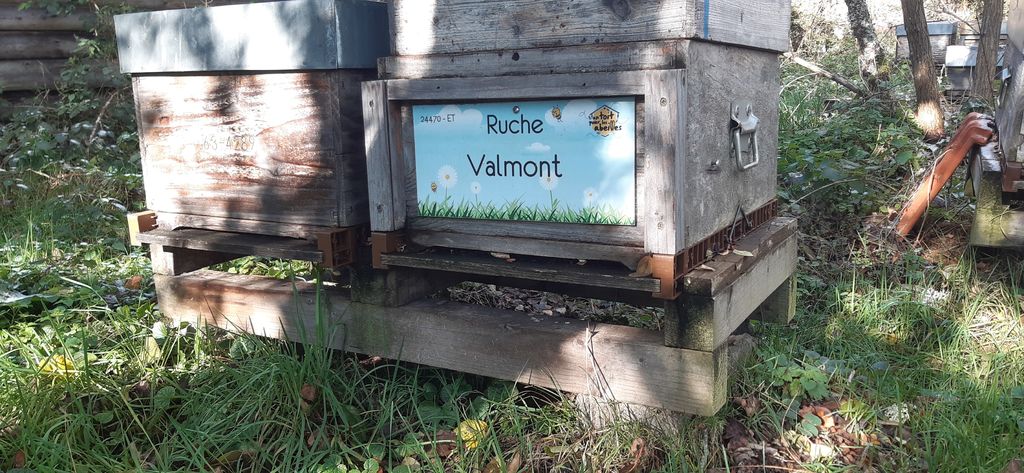 La ruche Valmont