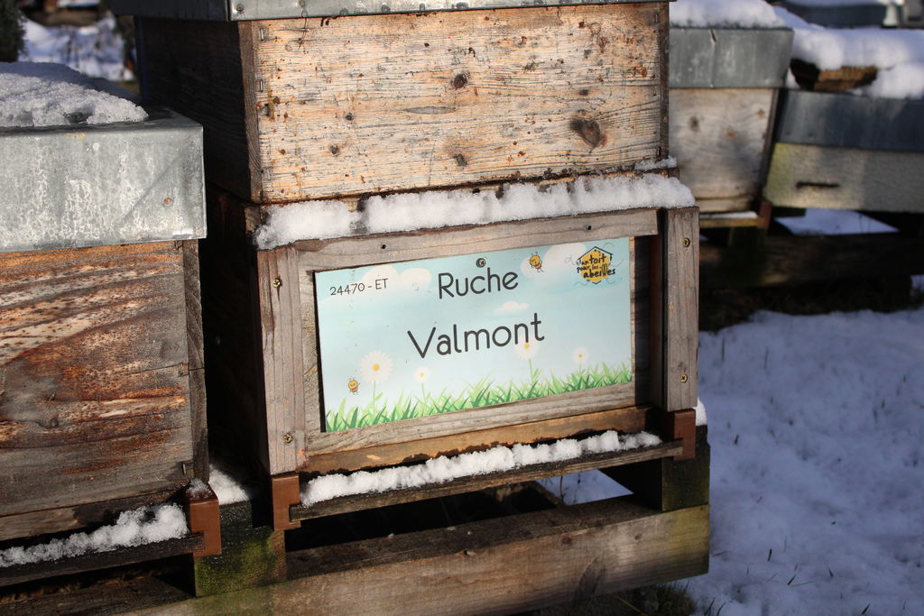 La ruche Valmont