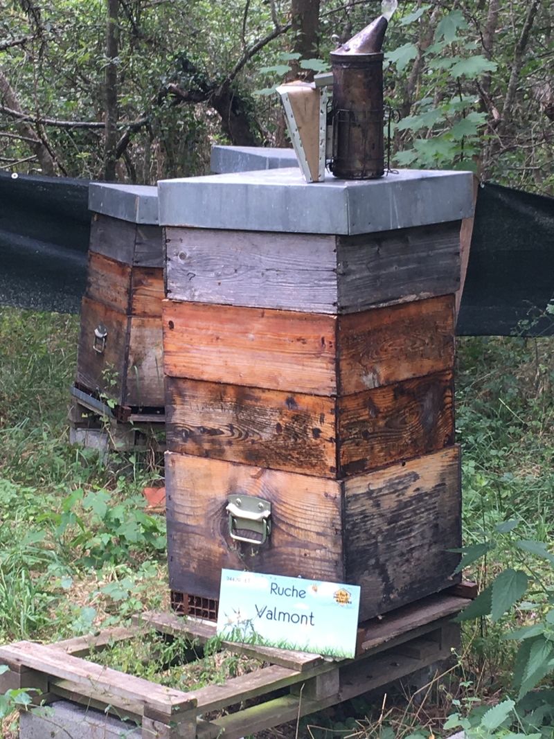 La ruche Valmont