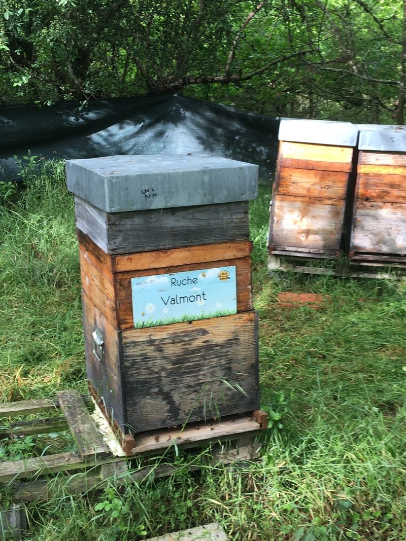 La ruche Valmont