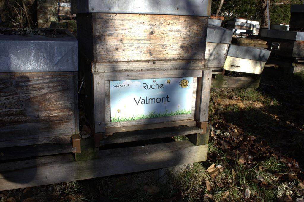 La ruche Valmont