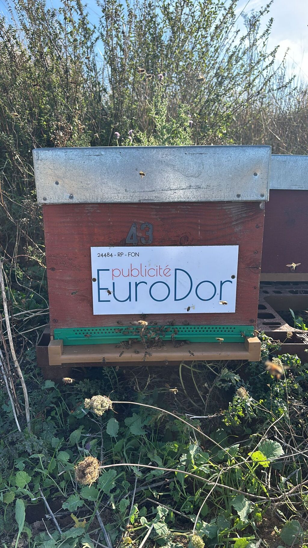 La ruche EURODOR