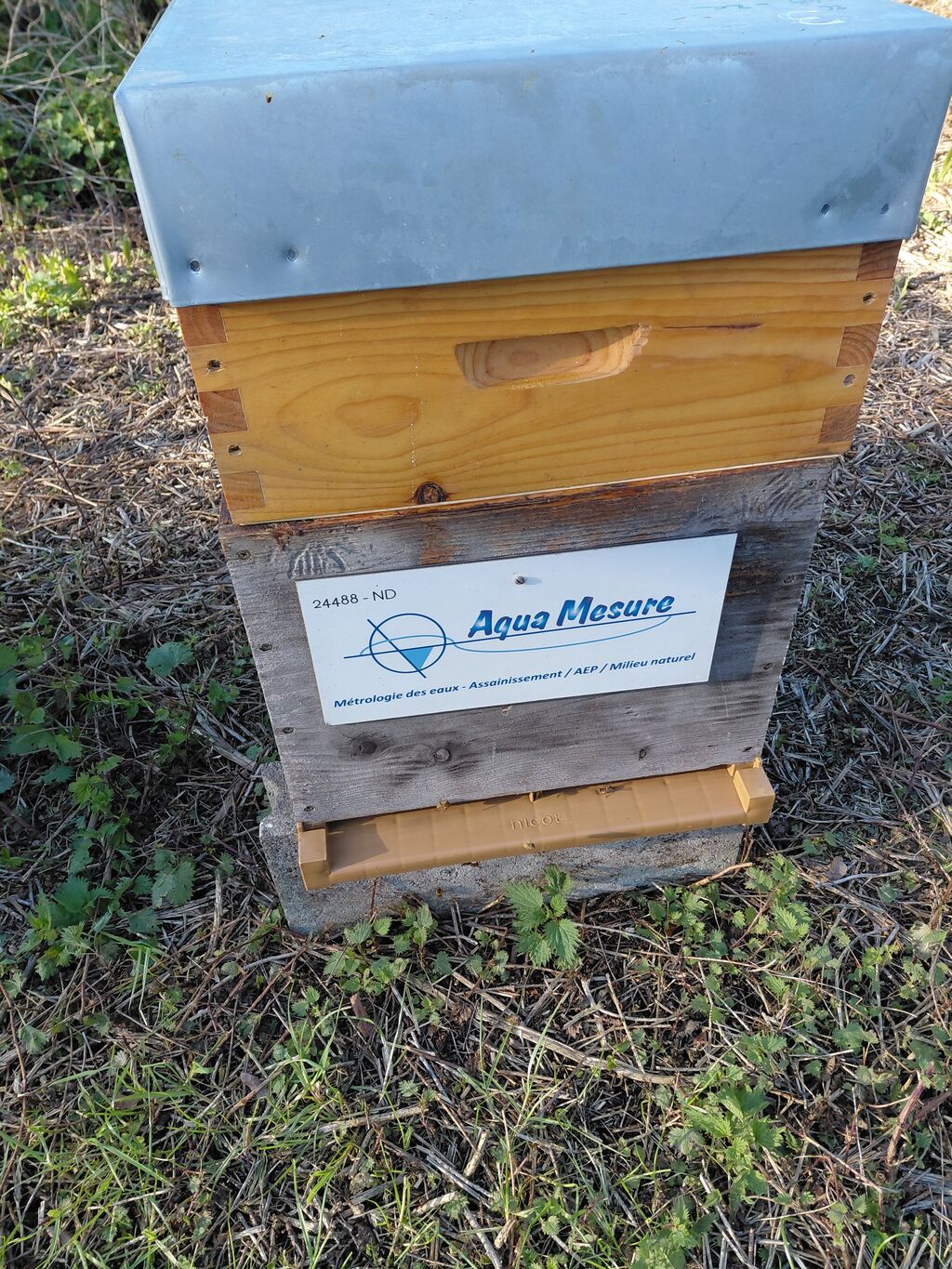 La ruche aqua MESURE