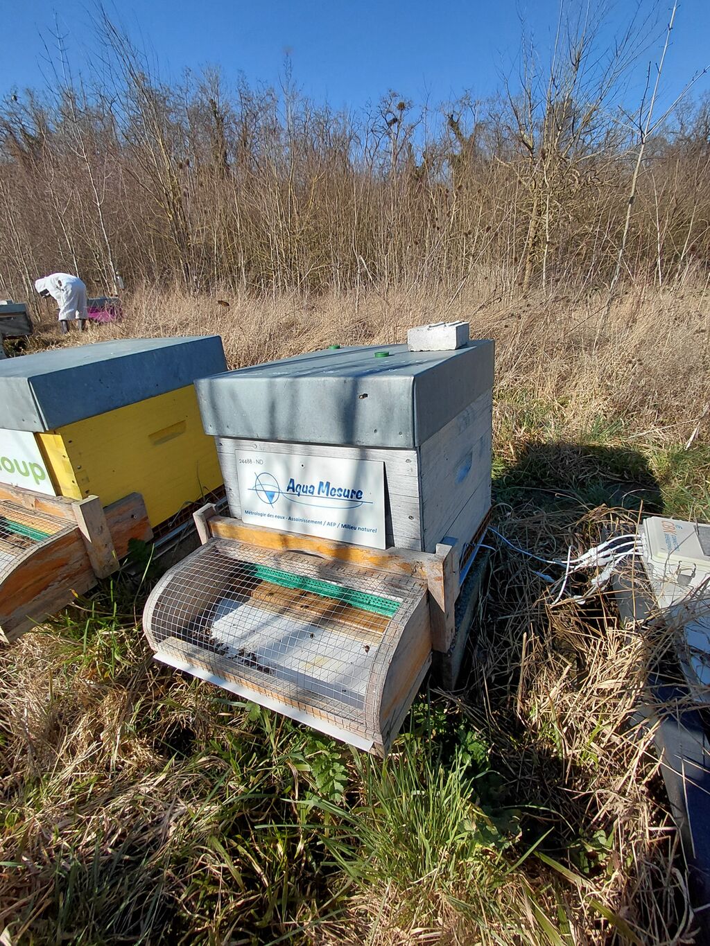 La ruche aqua MESURE