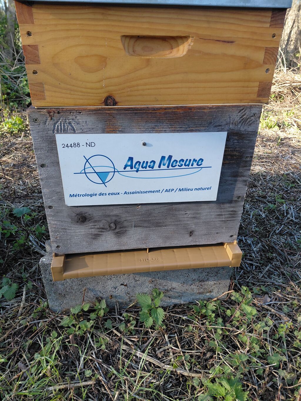 La ruche aqua MESURE