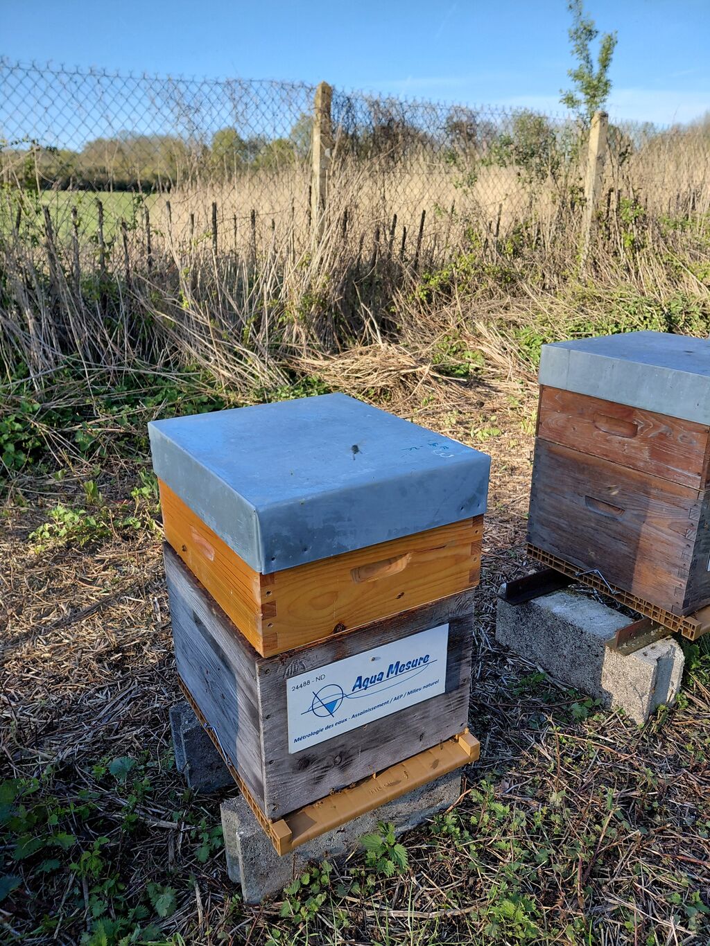 La ruche aqua MESURE