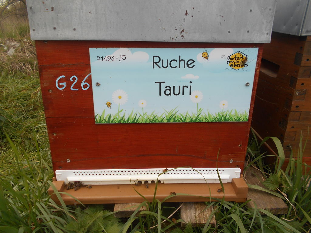 La ruche