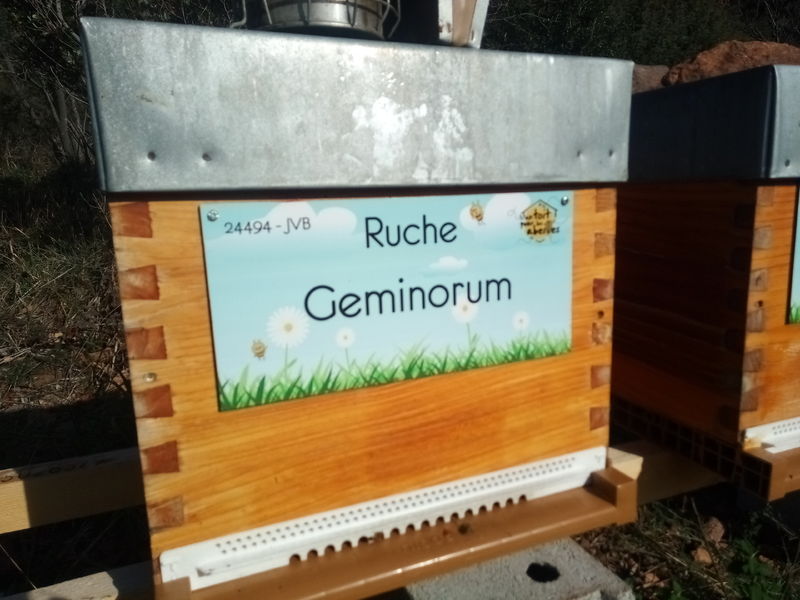 La ruche