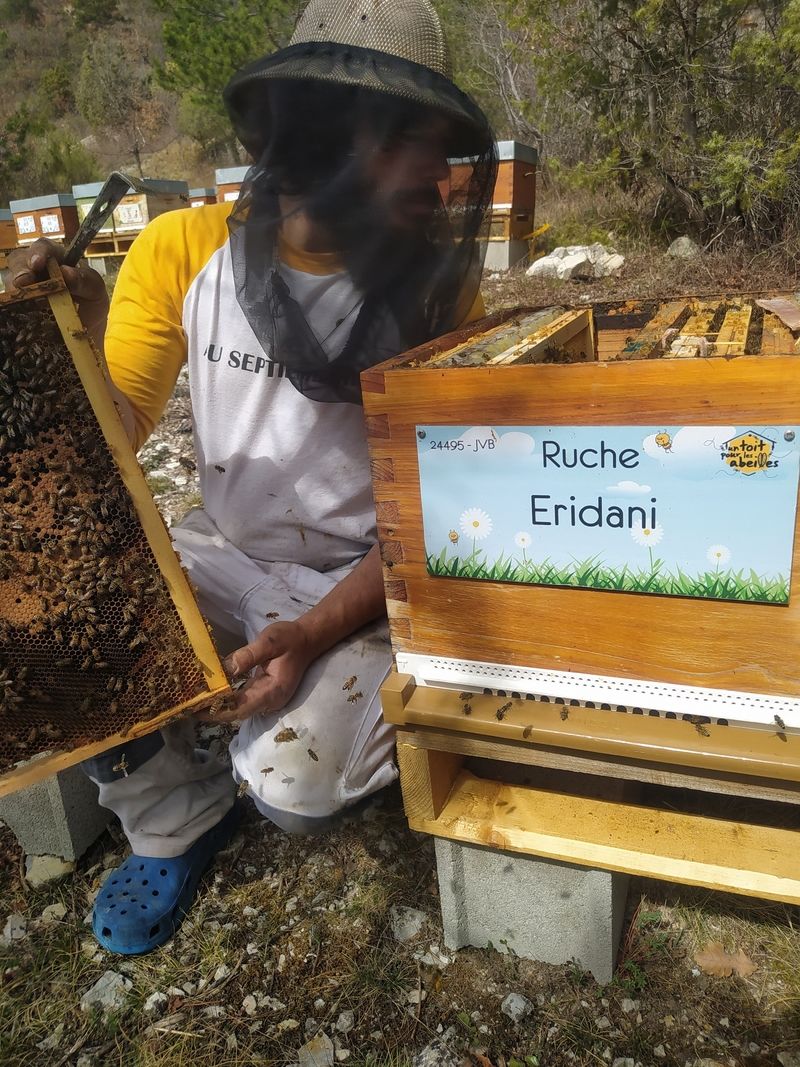 La ruche Eridani