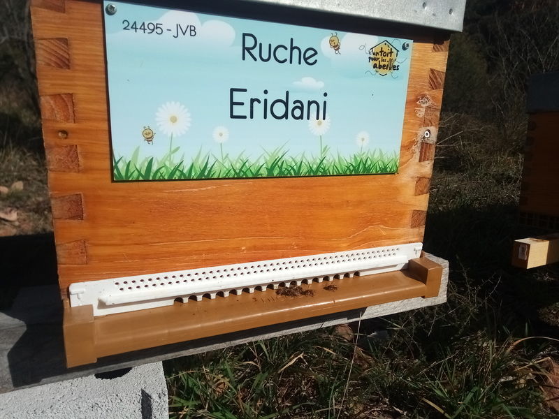 La ruche Eridani