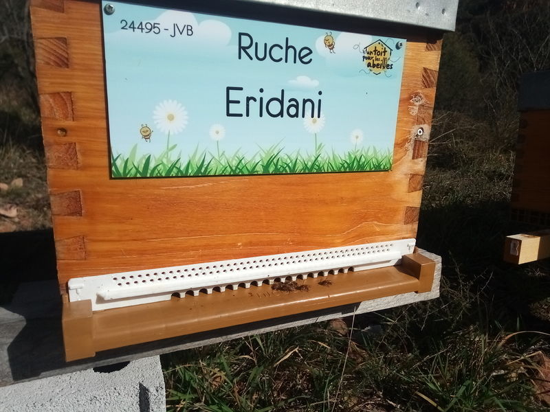 La ruche