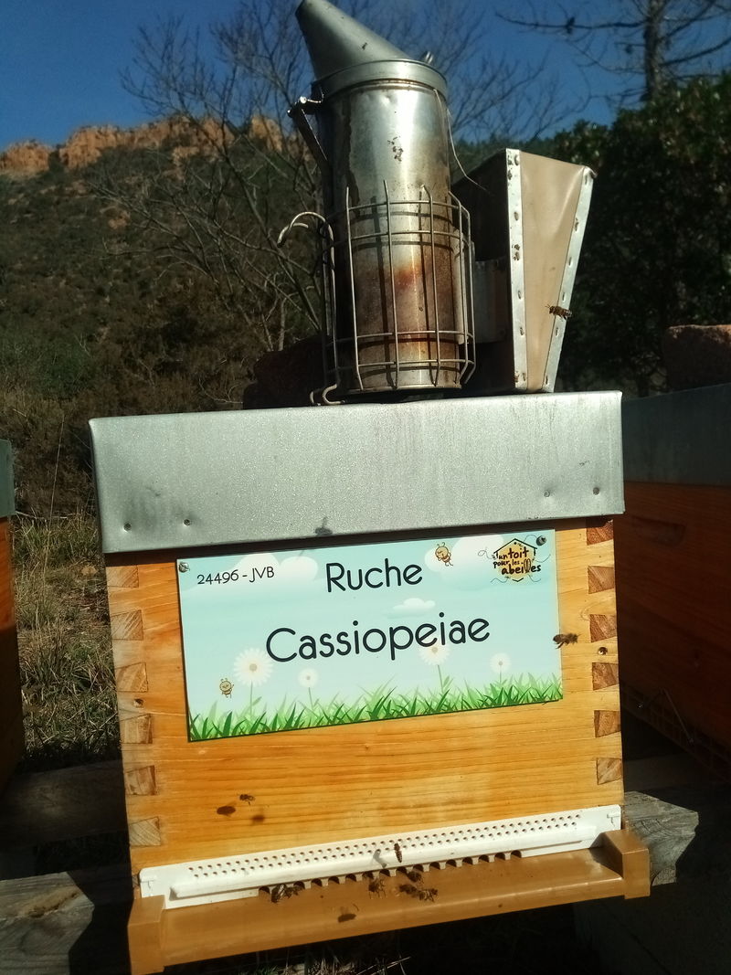 La ruche Cassiopeiae