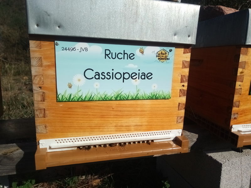 La ruche