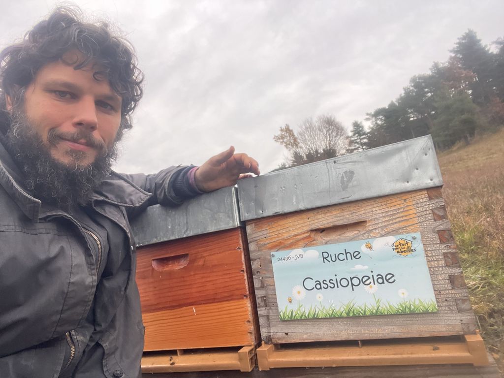 La ruche Cassiopeiae